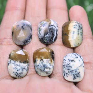 Dendritic Opal-Fancy shape-Black and white colour