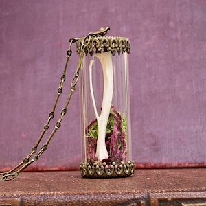 Genuine Rodent Tibia nestled in Moss in a Glass Vial.