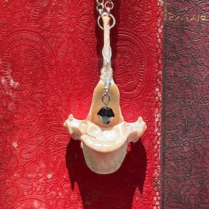 Real Coyote Vertebra Necklace