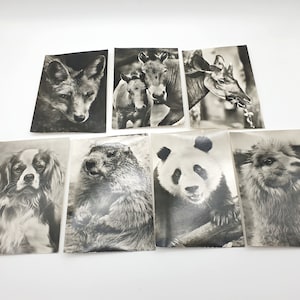 Cartões postais de animais vintage - 7 peças - para lixo eletrônico, diário de arte, scrapbooking, colagem