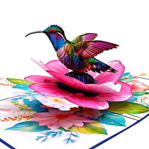 3D pop-up wenskaart kolibrie voor verjaardag, gewoon omdat, aan je denken, pensioen, beterschap, gefeliciteerd, elke gelegenheid