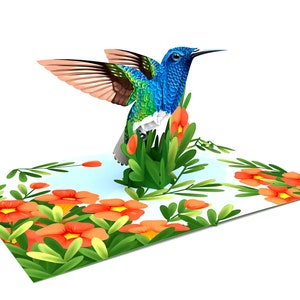 Hummingbird 3D Pop Up Card