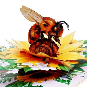 Biglietto pop-up con ape su girasole - Biglietto d'auguri 3D con girasole per compleanno, ringraziamento, amanti del giardino, regalo per la natura