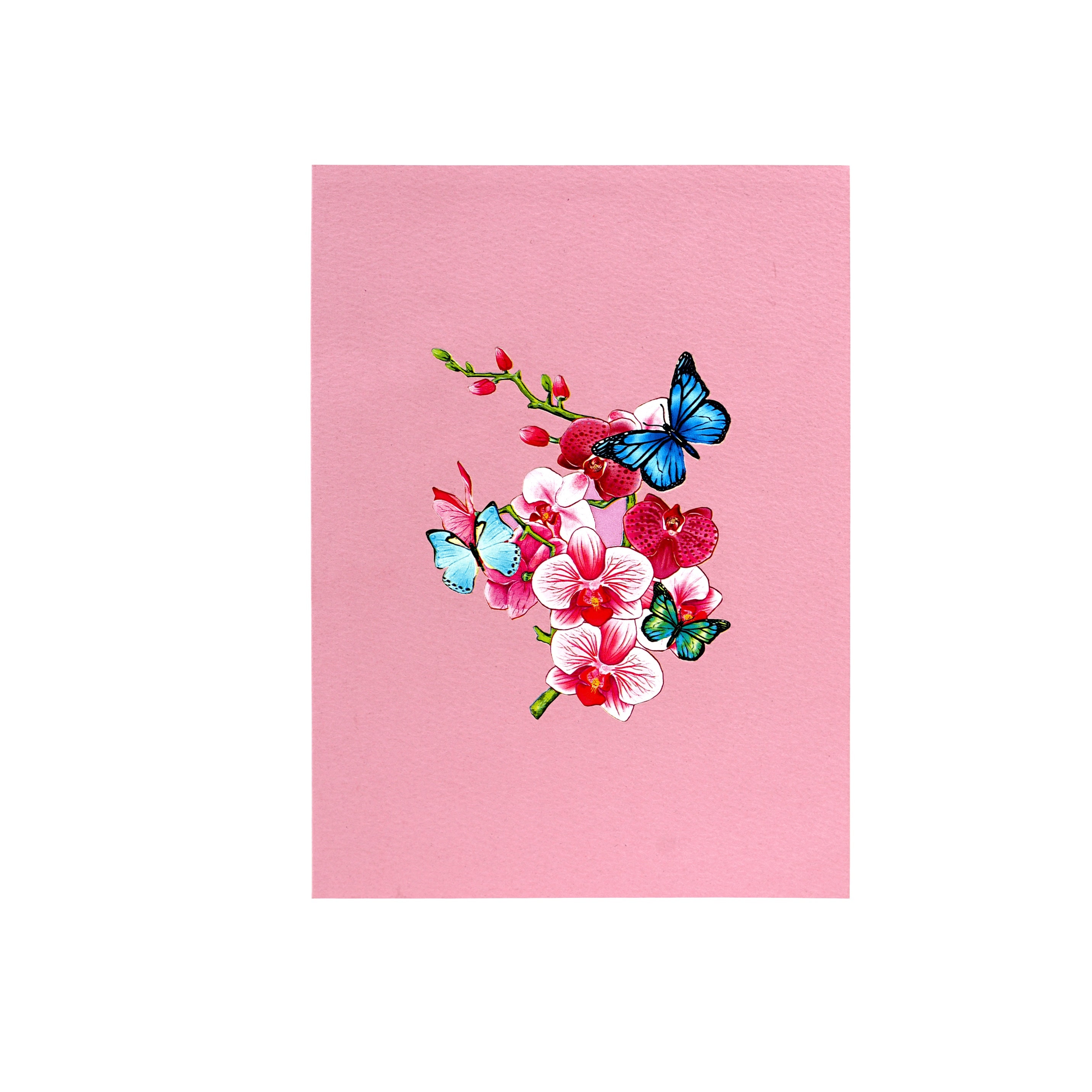 3D Pop-Up-Karte Zum Muttertag – Narzissen & Schmetterlinge, 15x20 Cm