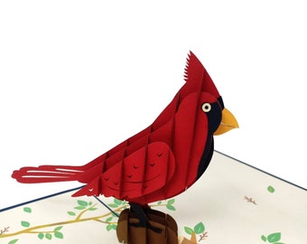 Tarjeta desplegable de cardenal, tarjeta de pájaro 3D