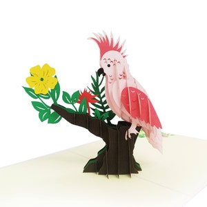 Cartão Pop Up Papagaio 3d
