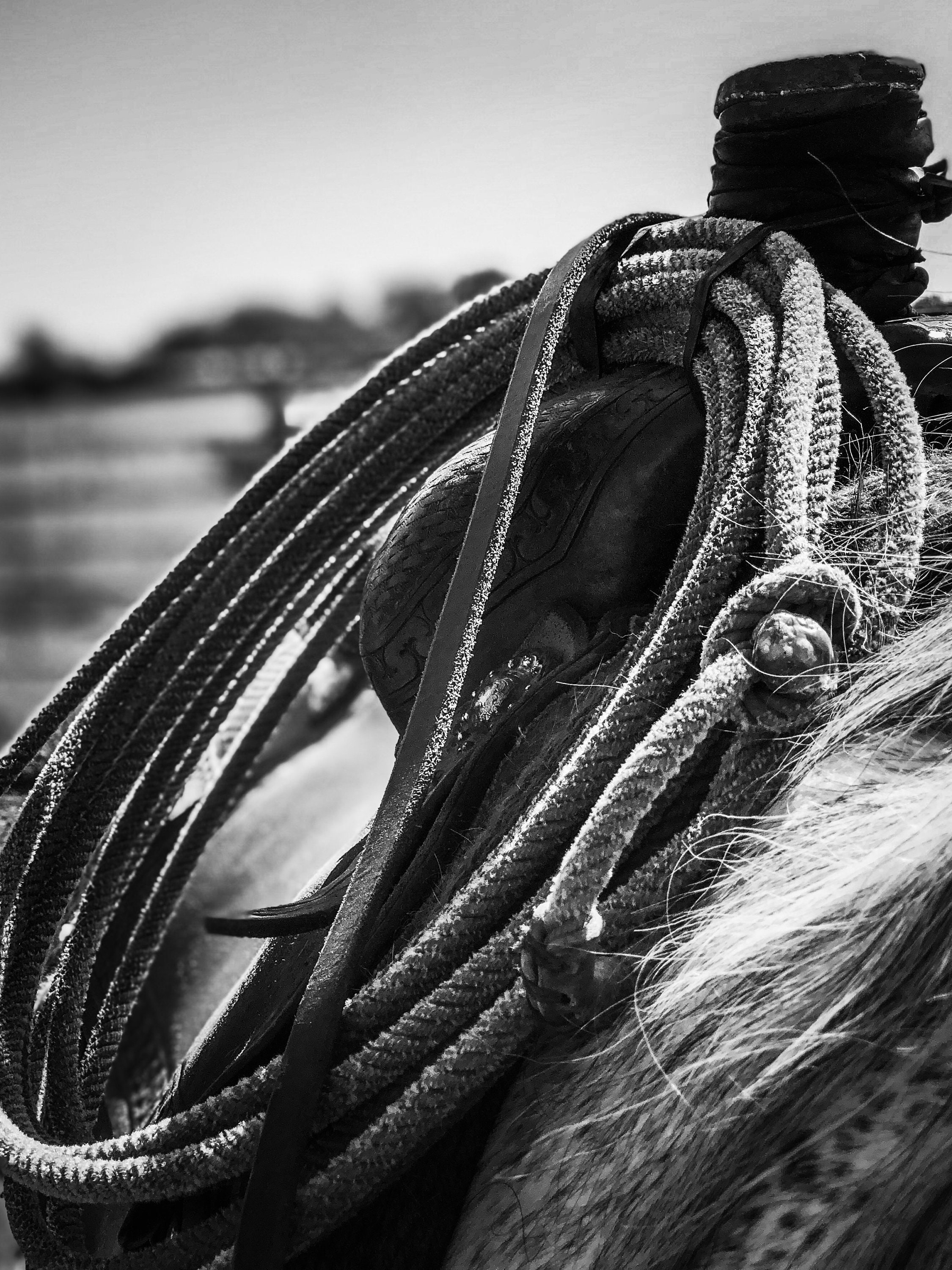 Rope/Saddle Canvas Print