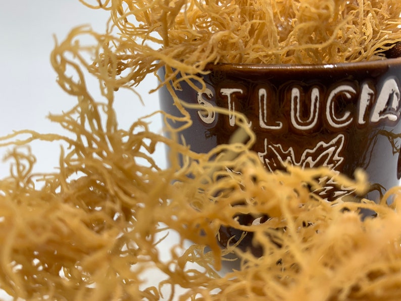St Lucia Ocean Grown Dried Sea Moss 1/4 lb Etsy