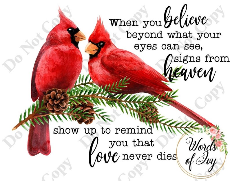 Sublimation Digital Download Cardinals watercolor cardinal bird loved one angel believe what your eyes can see, signs from heaven loved one image 1