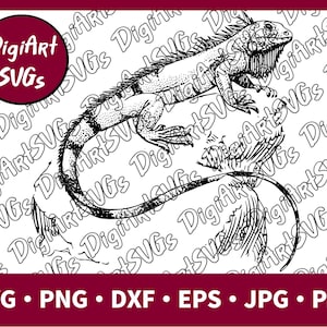 Iguana SVG File, Reptile SVG, Lizard Shirt Graphics, Cutting File Printable Clipart Vector Digital png, pdf, jpg, eps, dxf