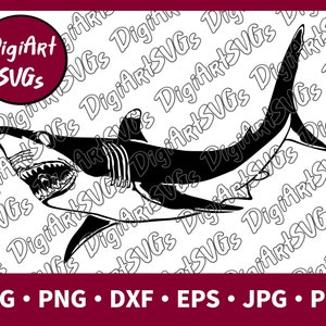 Shark SVG, Great White SVG, Fish Shirt Graphics, Cutting File Printable Clipart Vector Digital png, pdf, jpg, eps, dxf