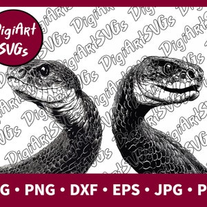 Snake SVG, Snake Head SVG File, Reptile T-Shirt Graphics, Cutting File Printable Clipart Vector Digital png, jpg, pdf, eps, dxf
