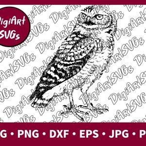Owl SVG, Bird Of Prey SVG, Owl Shirt Graphics, Cutting File Printable Clipart Vector Digital png, pdf, jpg, eps, dxf