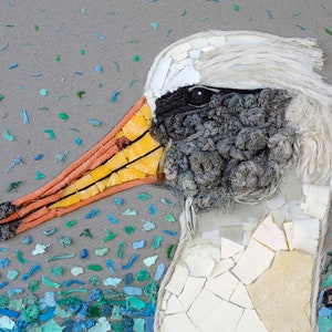 Plastic Albatross Note Card Pack