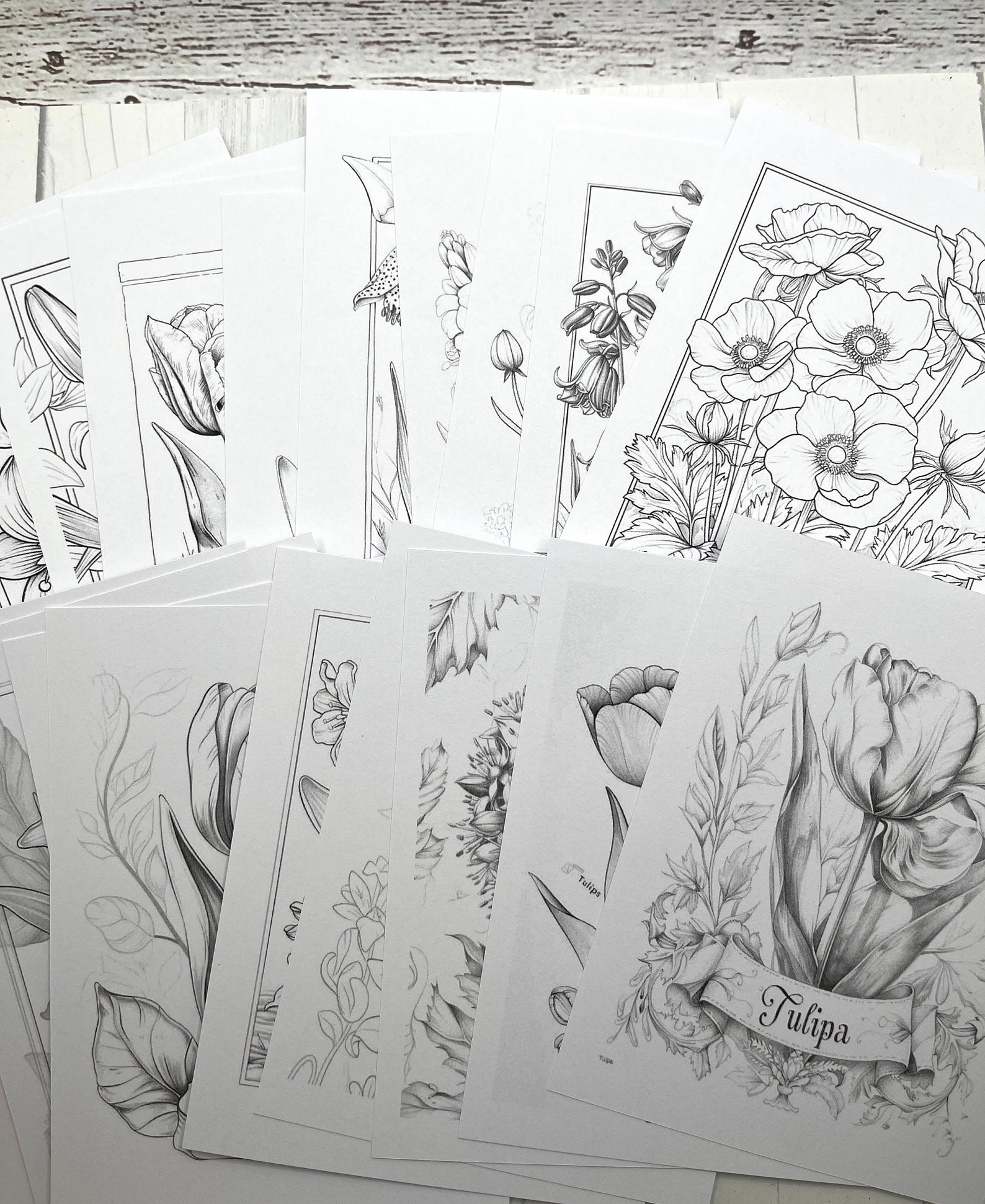 Coloring Card Panels Botanical Flowers 20 Designs White Cardstock for ...
