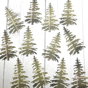 Die Cuts Plaid Green Christmas Trees 14 Pieces  Cardstock Scrapbook Embellishments Woodsy Green Pine Tree Cut Outs Forest Die Cuts