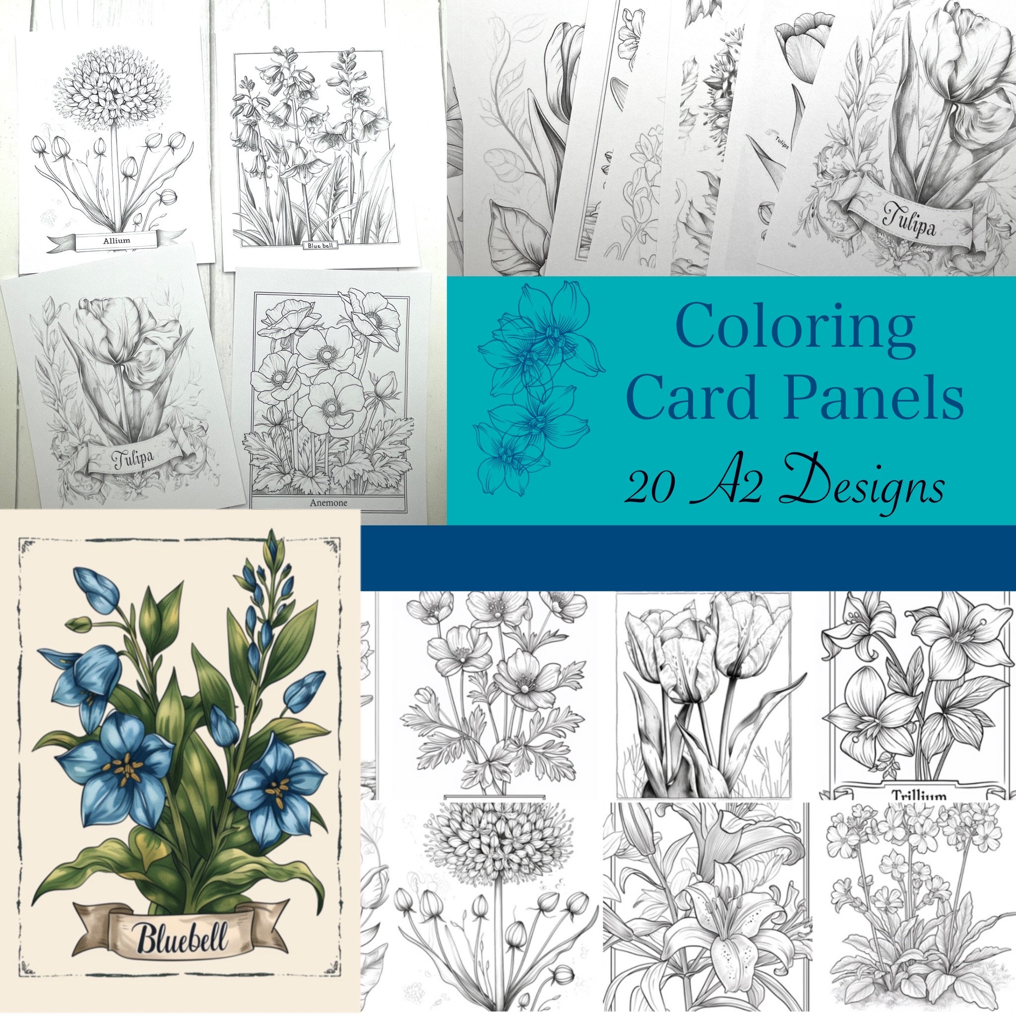 Coloring Card Panels Botanical Flowers 20 Designs White Cardstock for ...