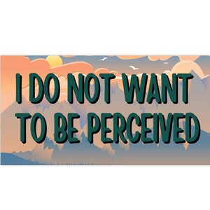 I Do Not Want to Be Perceived Funny Bumper Stickers Gen Z, Cursed Meme Bumper Sticker, Stocking Stuffer, Christmas Gift Ideas for Friends