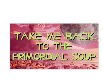 Primordial Soup Bumper Sticker, Funny Gen Z Humor Car Decal