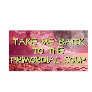 Take me back to the primordial soup Bumper Stickers, Gen Z Funny Humor Bumper Sticker, Cursed Car Decal, Bumper Sticker funny