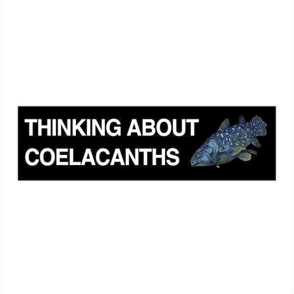 Coelacanth Bumper Sticker Funny, Thinking about Coelacanths Sticker, Science Gifts for Friends, Weird Car Sticker Decals for Bumper