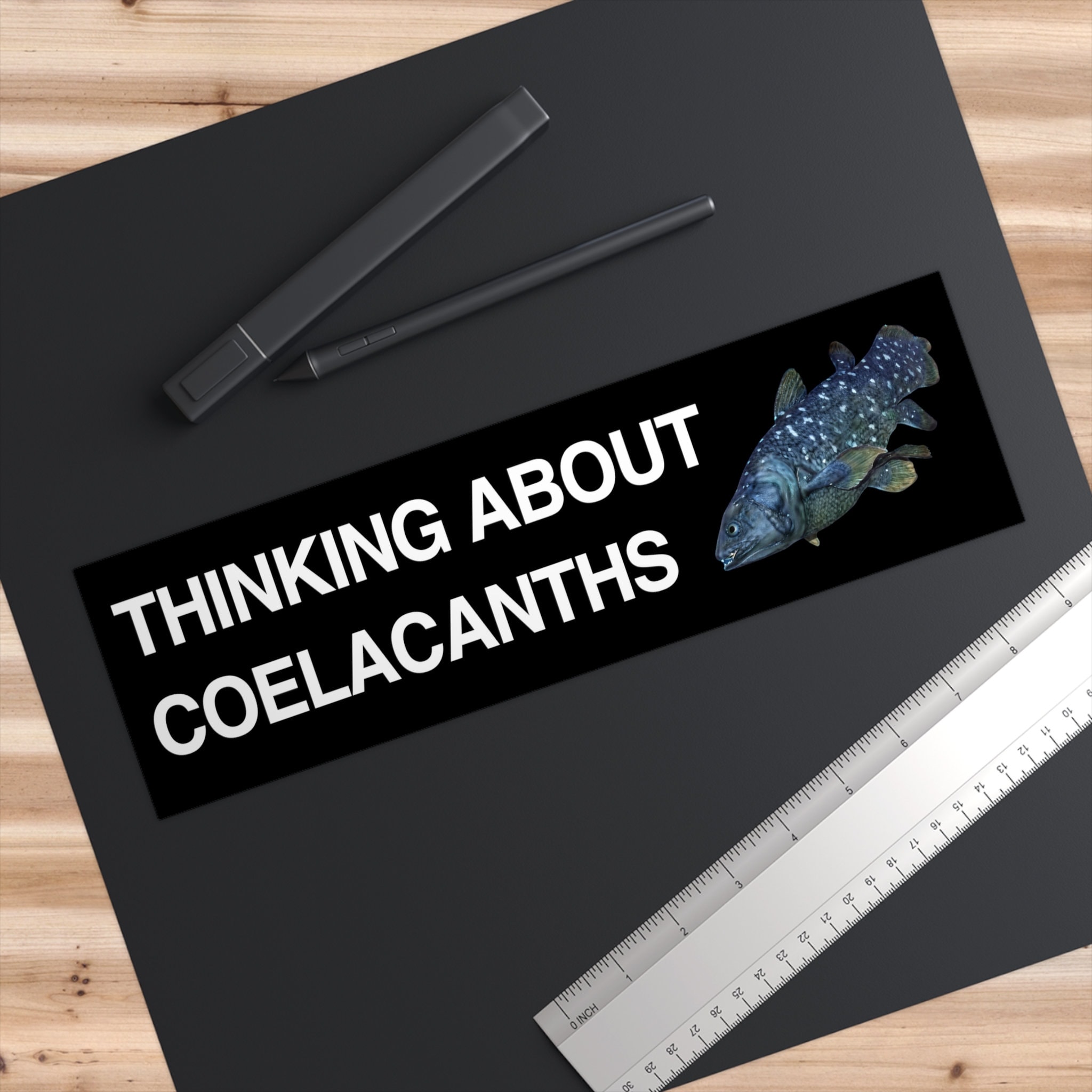 Thinking About Coelacanths Bumper Sticker, Funny Science Gift - Etsy