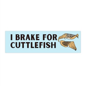 Cuttlefish Bumper Sticker Funny, Marine Biologist Sticker, Ocean Stickers for Car, Cute Bumper Stickers