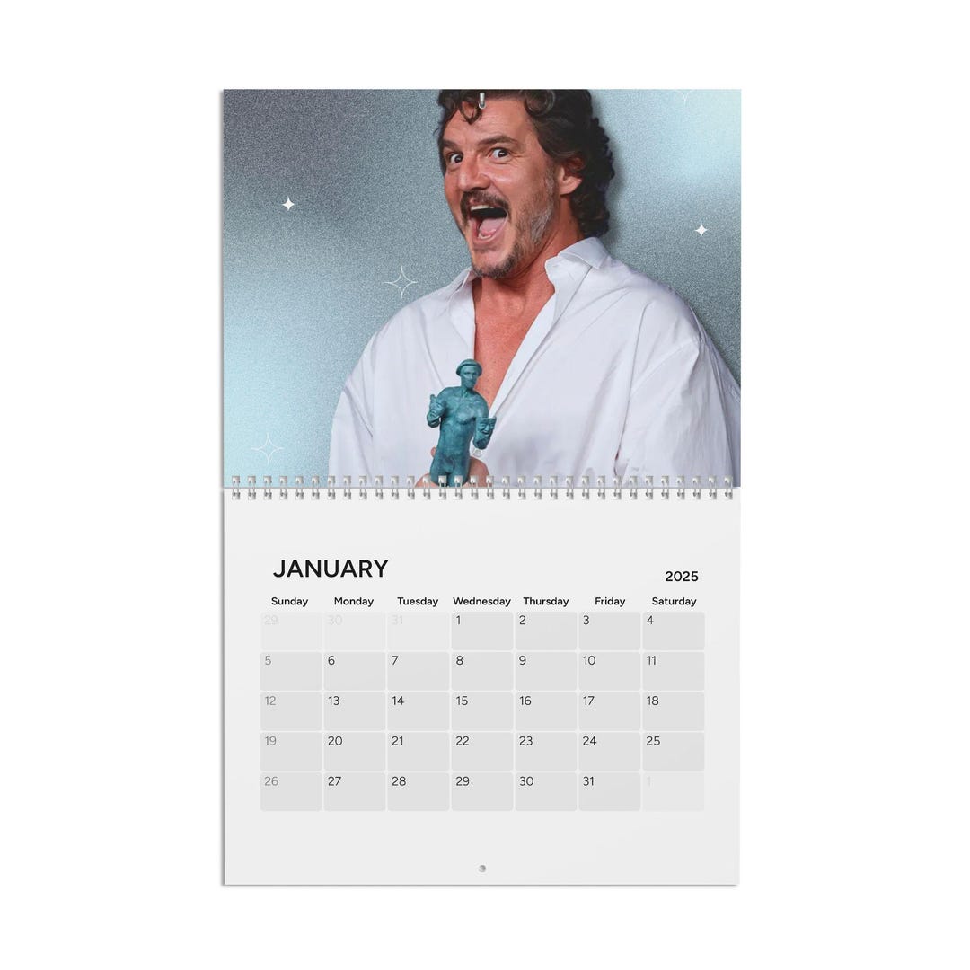 Pedro Pascal Calendar 2025, Funny Wall Calendars Etsy