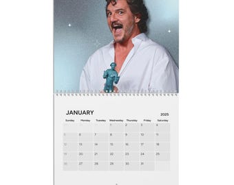 Pedro Pascal Calendar 2025, Funny Wall Calendars