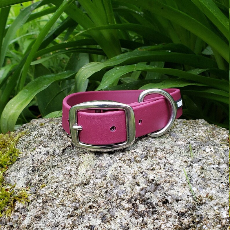 Personalized 1 Wide BioThane Dog Collar Etsy