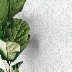 May include: A large-leafed green plant next to a white wallpaper with a light gray damask pattern. The plant's leaves have prominent veins and a glossy texture. The wallpaper has a repeating, stylized floral design.