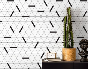 May include: A black and white geometric wallpaper with a cactus in a brown pot and a black bust sculpture on a black shelf.