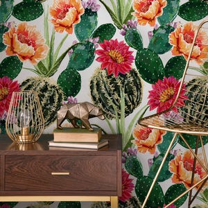 Carta da parati moderna con cactus verde e rosso - A911
