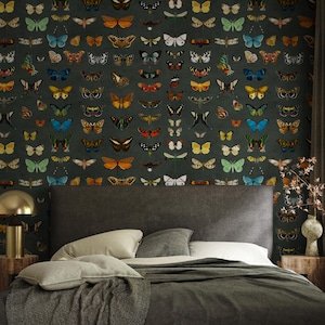 Könnte beinhalten: Eine dunkelgrüne Wand mit einem sich wiederholenden Muster aus bunten Schmetterlingen. Die Schmetterlinge sind in verschiedenen Größen und Farben, darunter Gelb, Blau, Orange und Weiß. Die Wand befindet sich hinter einem Bett mit grauer Bettwäsche und Kissen.