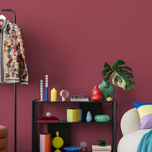 May include: A colorful, patterned jacket hangs on a black rack next to a black shelf filled with decorative items. The shelf holds candles, vases, and a clock. A monstera leaf and a pillow are also visible.