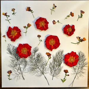 Edible And Organic Pressed and Dried Flowers For Cake Decoration