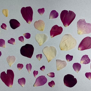 30 pétales de rose en forme de coeur séchés et pressés bio