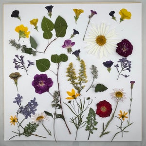Dreaming Of Flowers Mix Organic Edible, Dried And Pressed Flowers And Leaves