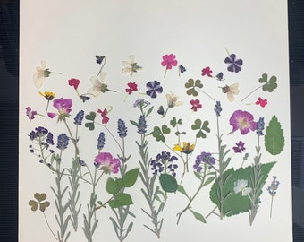 May include: A collection of pressed flowers and foliage, including lavender, clovers, and various blossoms in shades of purple, pink, white, and yellow. The arrangement is set against a white background, showcasing the natural colors and textures of the dried plants.