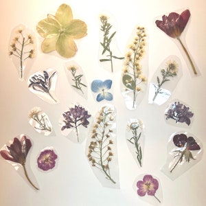 May include: Assortment of pressed flowers and leaves in various colors, including purple, blue, green, and white, arranged on a white background. The flowers are pressed and dried, creating a delicate and intricate design.