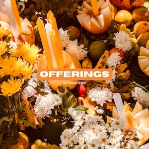 Love Donations | Tip your fave Psychic - Thank you!