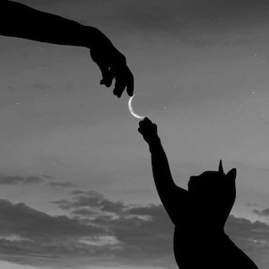 May include: A black and white silhouette image of a cat reaching for a crescent moon held by a human hand. The cat's paw is extended towards the moon in the night sky, creating a whimsical and artistic scene.