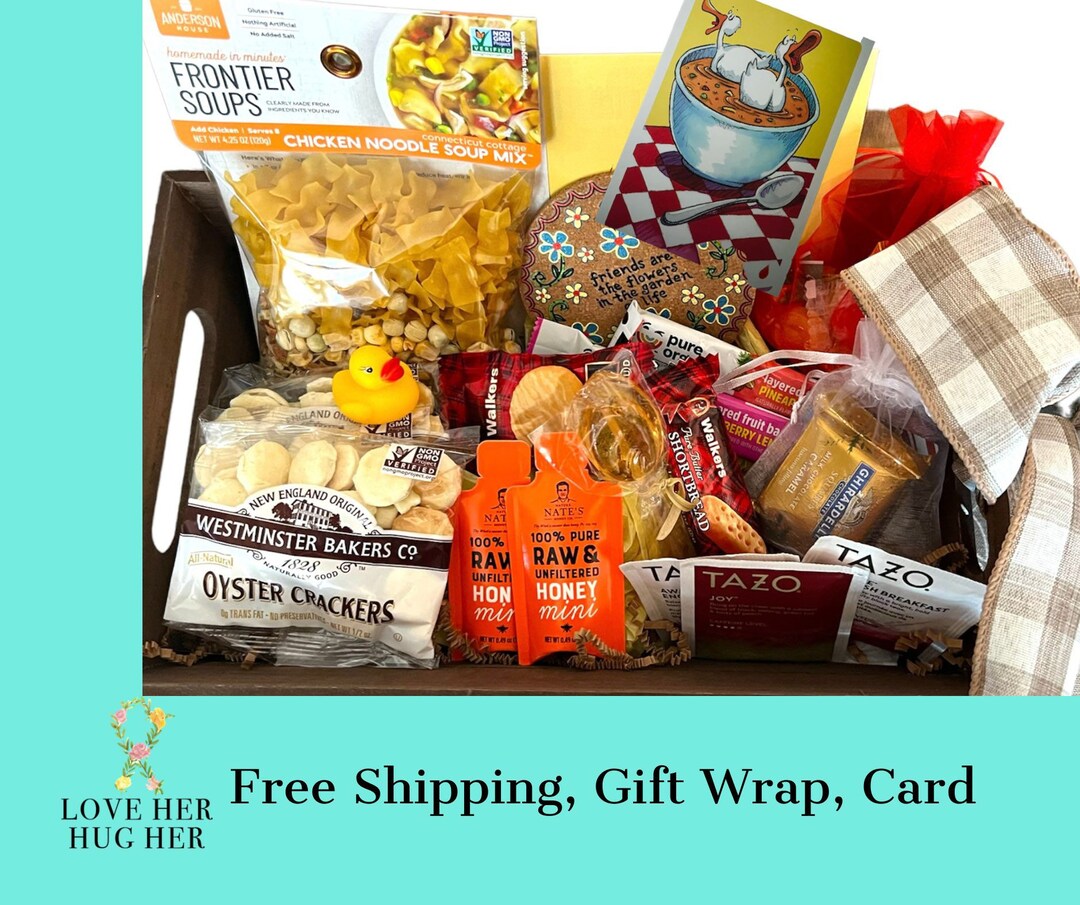 Chicken Noodle Soup Mix, Soup Care Package, Illness Sickness Soup