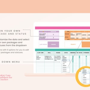 May include: A spreadsheet template for coaches to track client packages and status. The spreadsheet includes columns for client name, email, package, status, onboarded, mid review, offboarded, number of sessions, and remaining sessions. The spreadsheet also includes a drop-down menu for selecting different package and status options.