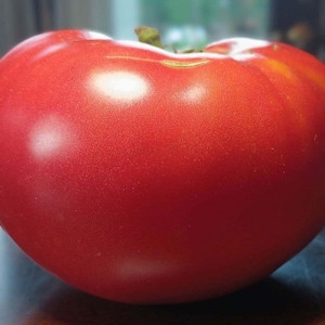 Jasper Heirloom Organic Tomato Seeds