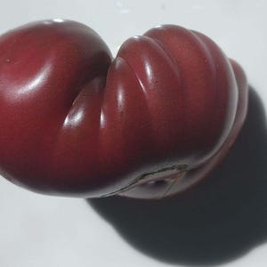 Purple Cherokee Heirloom Organic Tomato Seeds