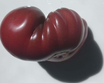 Purple Cherokee Heirloom Organic Tomato Seeds
