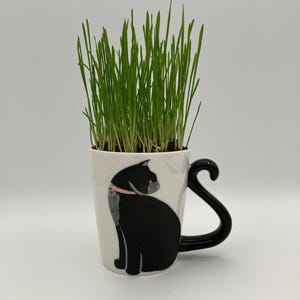 May include: A white ceramic mug with a black cat illustration and a curved black handle. The mug is filled with green grass, and the cat has a pink collar. A unique and decorative item for cat lovers.