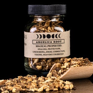ANGELICA ROOT - Witchcraft Spell Herb Jar For Spellwork - Apothecary Curio