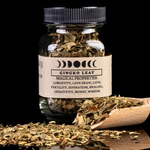 GINKGO LEAF - Witchcraft Spell Herb Jar For Spellwork - Apothecary Curio